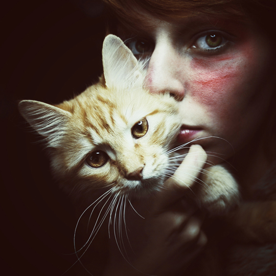 Portrait of a Cat by Rengim Mutevellioglu
