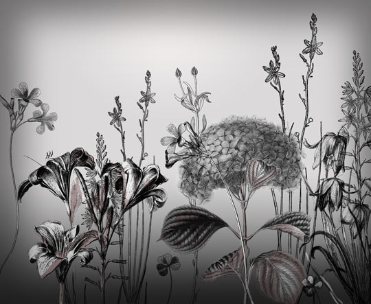 24 Flower Brushes - preview